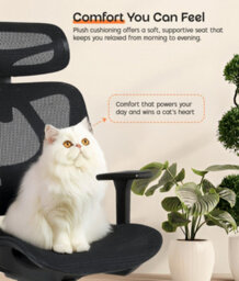 Ergonomic Mesh Office Chair With Headrest, Lumbar Support, 3D Armrests, Adjustable Height, Reclining High Back Swivel Desk Chair - thumbnail 5