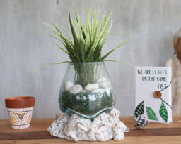 Small Molten Glass Bowl With Whitewash Wood Base Decorative Accent - thumbnail 4