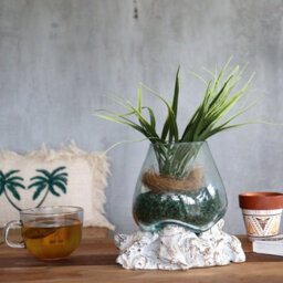 Small Molten Glass Bowl With Whitewash Wood Base Decorative Accent - thumbnail 2