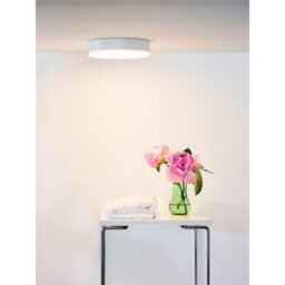 Lucide Ceres-Led Modern Flush Ceiling Light Bathroom 21.5Cm- Led Dim. - 1X30W 3000K - Ip44 - White - thumbnail 4
