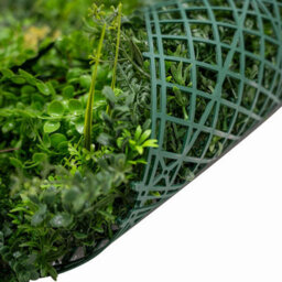 MonsterShop 2Pcs Artificial Plant Wall Panel 100 X 100Cm Alina Living Foliage Greenery Tiles Indoor Outdoor Weather & Uv Resistant - thumbnail 8