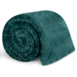 Bedlooms Emerald Blanket, Reversible & Lightweight Couch & Bed Throw Blanket, King 200X240Cm - thumbnail 1