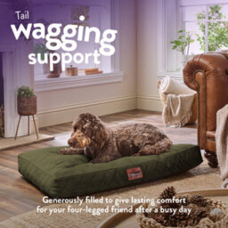 Slumberdown Dog Bed Large, Green - thumbnail 3