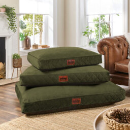 Slumberdown Dog Bed Large, Green - thumbnail 1