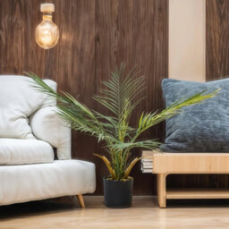 70Cm Artificial Palm Tree In Pot Fake Plant - thumbnail 4