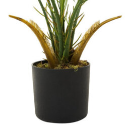 70Cm Artificial Palm Tree In Pot Fake Plant - thumbnail 6