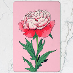 Benjamin Tate Design Peony Pink Placemats And Coasters Set With Wood Base Designer Artwork Limited Edition - thumbnail 2
