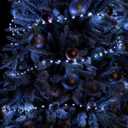Samuel Alexander 17.5M Indoor Outdoor Flexibrights Christmas Lights With 500 White Leds - thumbnail 4