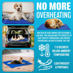 Self Cooling Cool Gel Mat Pet Dog Cat Heat Relief Non-Toxic Summer 40Cm X 30Cm - thumbnail 4