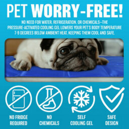 Self Cooling Cool Gel Mat Pet Dog Cat Heat Relief Non-Toxic Summer 40Cm X 30Cm - thumbnail 5