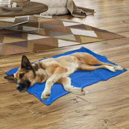Self Cooling Cool Gel Mat Pet Dog Cat Heat Relief Non-Toxic Summer 40Cm X 30Cm - thumbnail 2