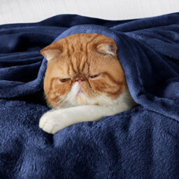Ameha Fleece Plain Blanket, Lightweight & Reversible Throw For Travel, Bed & Sofa Blanket, Navy King 200X240Cm - thumbnail 7