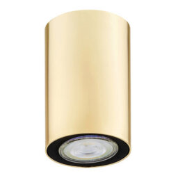 Luminosa Lighting Luminosa Tyber Plus Surface Mounted Downlight Brass Steel - thumbnail 2