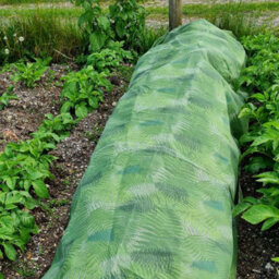 Haxnicks Green Fern Fleece Blanket 1.8M X 10M Extra-Thick 35Gsm Plant Winter Protection Frost Cover Reusable - thumbnail 2