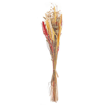 Beliani Dried Flower Bouquet Pampeluna 65 Cm Natural - image 1