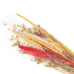 Beliani Dried Flower Bouquet Pampeluna 65 Cm Natural - thumbnail 5