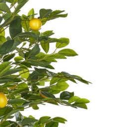 Beliani Artificial Plant Lemon Tree 156 Cm Green - thumbnail 4
