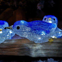 Samuel Alexander Set Of 5 Battery Operated Light Up Acrylic Christmas Penguins With Leds - thumbnail 7