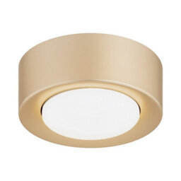 Luminosa Lighting Luminosa Elora Surface Mounted Downlight Gold Gx53