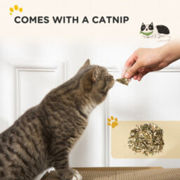 Pawhut Tv Shape Cat Scratching Board With Catnip, For Indoor Cats, Brown - thumbnail 7