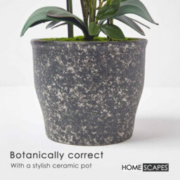 Homescapes Artificial White Handcrafted Extra Large Orchid Phalaenopsis In Ceramic Pot, 4 Stems, 82 Cm - thumbnail 4