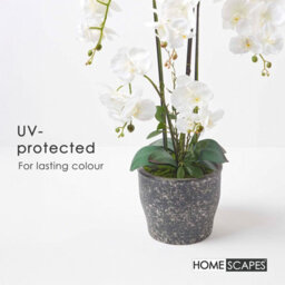 Homescapes Artificial White Handcrafted Extra Large Orchid Phalaenopsis In Ceramic Pot, 4 Stems, 82 Cm - thumbnail 5