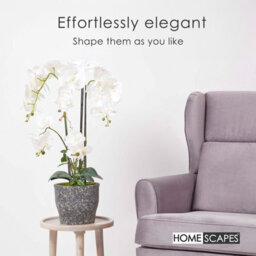 Homescapes Artificial White Handcrafted Extra Large Orchid Phalaenopsis In Ceramic Pot, 4 Stems, 82 Cm - thumbnail 6