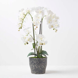 Homescapes Artificial White Handcrafted Extra Large Orchid Phalaenopsis In Ceramic Pot, 4 Stems, 82 Cm