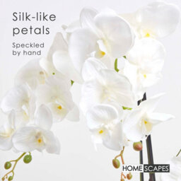 Homescapes Artificial White Handcrafted Extra Large Orchid Phalaenopsis In Ceramic Pot, 4 Stems, 82 Cm - thumbnail 3