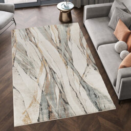 Essence Living Room Area Rug Oragnic Abstract Design Contemporary Hallway Runner Indoor Rug- Rustic 120X170 - thumbnail 1