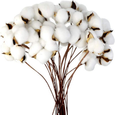 Cotton Branch Natural Stem Farm Dried Flowers Cotton Branches Cotton Plant Artificial (20 Pieces) - image 1