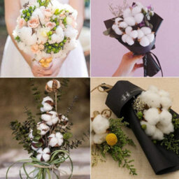 Cotton Branch Natural Stem Farm Dried Flowers Cotton Branches Cotton Plant Artificial (20 Pieces) - thumbnail 4