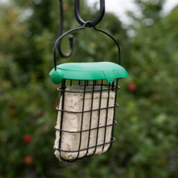 Westland Gardman Large Hanging Bird Seed & Nut Feeder With Flip Top Lid Easy Fill Outdoor Garden Feeding Station - thumbnail 3