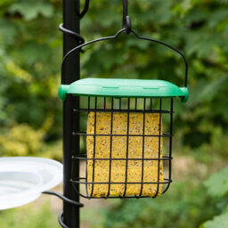 Westland Gardman Large Hanging Bird Seed & Nut Feeder With Flip Top Lid Easy Fill Outdoor Garden Feeding Station - thumbnail 2