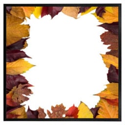 "Andrew Lee Orange & Purple Autumn (Picutre Frame) / 12X12"" / Oak" - thumbnail 5