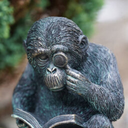 Burgess Studious Ape Resin Monkey Statue Bronze Finish Home Outdoor Garden Ornament Chimp Sculpture Vintage Style Reading Gift - thumbnail 4