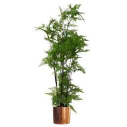 Leaf Metal Planter Plant Pot With Polished Copper Finish 20 X 18Cm - thumbnail 5
