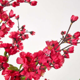 Homescapes Artificial Cerise Pink Handcrafted Blossom Tree With Silk Flowers, 5 Ft - thumbnail 4