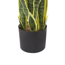 Beliani 63Cm Artificial Snake Plant In Cement-Filled Black Pot, Indoor Decor For Desks And Shelves - thumbnail 5