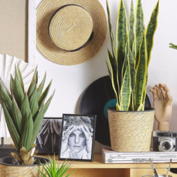 Beliani 63Cm Artificial Snake Plant In Cement-Filled Black Pot, Indoor Decor For Desks And Shelves - thumbnail 2