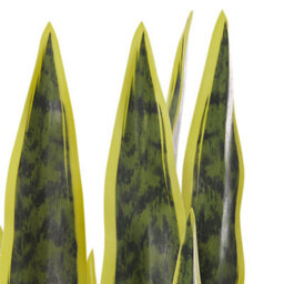 Beliani 63Cm Artificial Snake Plant In Cement-Filled Black Pot, Indoor Decor For Desks And Shelves - thumbnail 6