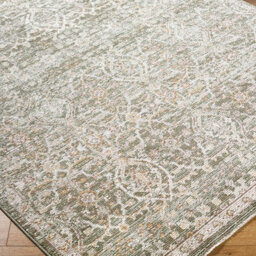 Livabliss Galey Alix Myrtle Avenue-Vintage Brown Green Grey Traditional Boho Fringe Living Dining Bedroom Rug 200 X 275 Cm Easy Care - thumbnail 6