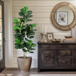 Artificial Fiddle Leaf Fig Tree Wooden Trunk , Large Realistic Artificial Plant - thumbnail 3