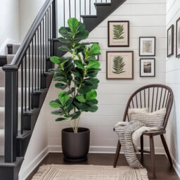 Artificial Fiddle Leaf Fig Tree Wooden Trunk , Large Realistic Artificial Plant - thumbnail 4