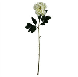 Leaf Pack Of 6 X 80Cm Artificial Cream Peony Stem - thumbnail 4