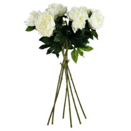 Leaf Pack Of 6 X 80Cm Artificial Cream Peony Stem - thumbnail 6