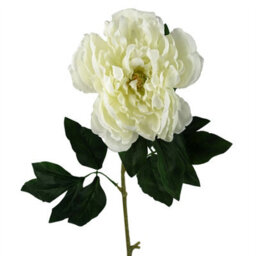 Leaf Pack Of 6 X 80Cm Artificial Cream Peony Stem - thumbnail 3