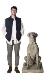 Giant Life-Size Hunting Dog Great Dane Statue - Classic Finish - thumbnail 6