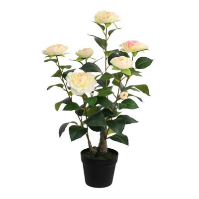 Minster Artificial Camellia Plant - L50 X W50 X H58 Cm - image 1