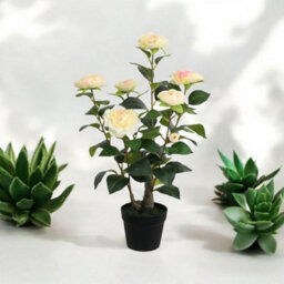 Minster Artificial Camellia Plant - L50 X W50 X H58 Cm - thumbnail 2
